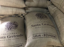 Load image into Gallery viewer, Ecuador-Hacienda SANTA GERTRUDIS-Natural Yellow Catuai