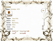 Load image into Gallery viewer, Ecuador-YAMBAMINE-Sidra-Black Honey