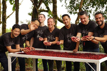 Load image into Gallery viewer, Panama-Ninty Plus Kemgin Geisha