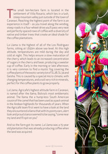Bolivia-Los Rodriguez Collection Nº2-Lemon & Lime Geisha Coco Natural
