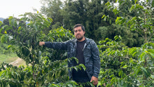 Load image into Gallery viewer, Colombia-La Guadua Geisha Washed Lot 1
