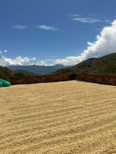 Load image into Gallery viewer, Colombia-Finca La Mina Geisha Washed
