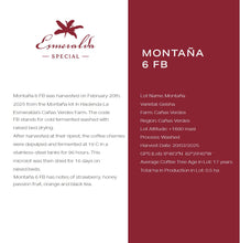 Load image into Gallery viewer, Panama-Hacienda La Esmeralda Special Collection Montaña 6FB Geisha Washed
