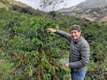 이미지를 갤러리 뷰어에 로드 , Colombia-El OBRAJE Geisha Washed Lot 2
