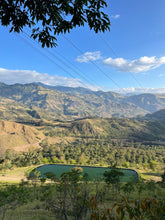 이미지를 갤러리 뷰어에 로드 , Colombia-El OBRAJE Geisha Washed Lot 2
