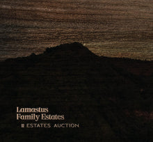 Load image into Gallery viewer, Panama-2025 Lamastus Family Estate Auction Lot Falda 1800 Washed PA1504
