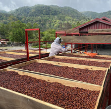 Load image into Gallery viewer, Panama-Franceschi Geisha Washed Lot 214
