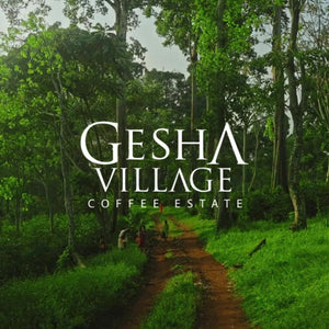 Ethiopia-GESHA VILLAGE Oma Lot 119-Geisha1931 Natural 100