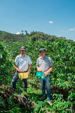 Load image into Gallery viewer, Peru-Gilmer Cordova - Finca Ecologica - Huabal - Gesha
