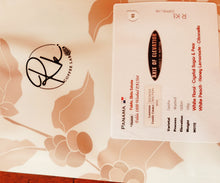 Load image into Gallery viewer, Panama-2025 Lamastus Family Estate Auction Lot Falda 1800 Washed PA1504
