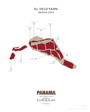 Load image into Gallery viewer, Panama-Hacienda La Esmeralda Special Collection Guabo 5BANC Natural
