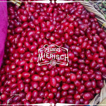 Load image into Gallery viewer, Nicaragua-Fincas Mierisch-Cold Anaerobic Natural Laurina
